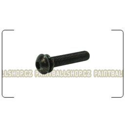 S013 Bottom ASA Screw