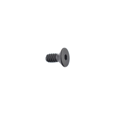 17651 TM-7 Frame Screw                    