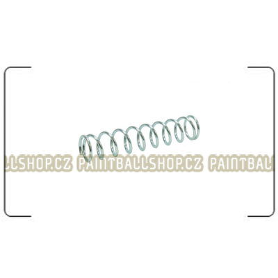 P015 Valve Spring                    