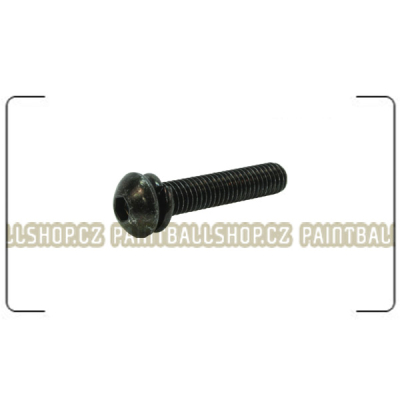 S013 Bottom ASA Screw                    