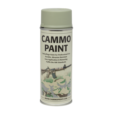 Cammo Paint spray grey                    