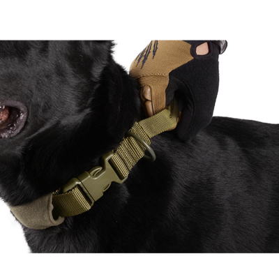                             Tactical dog neck collar, olive                        