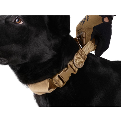                             Tactical dog neck collar, tan                        